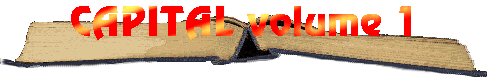 CAPITAL volume 1